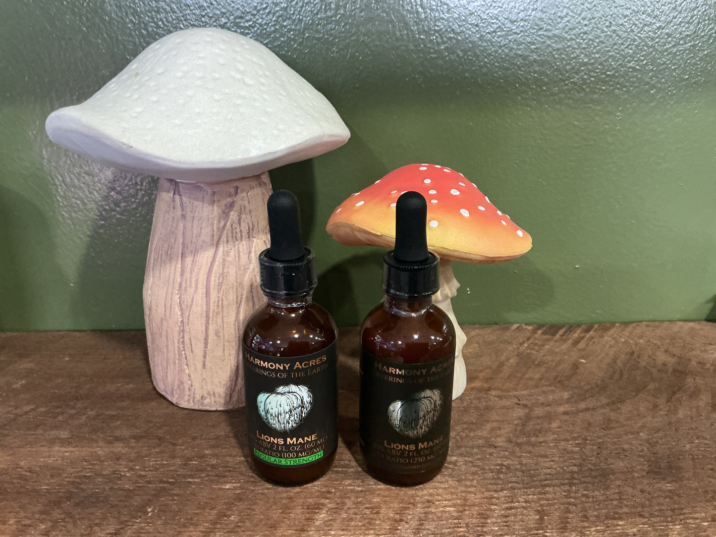 Lion's Mane 1:10 Tincture