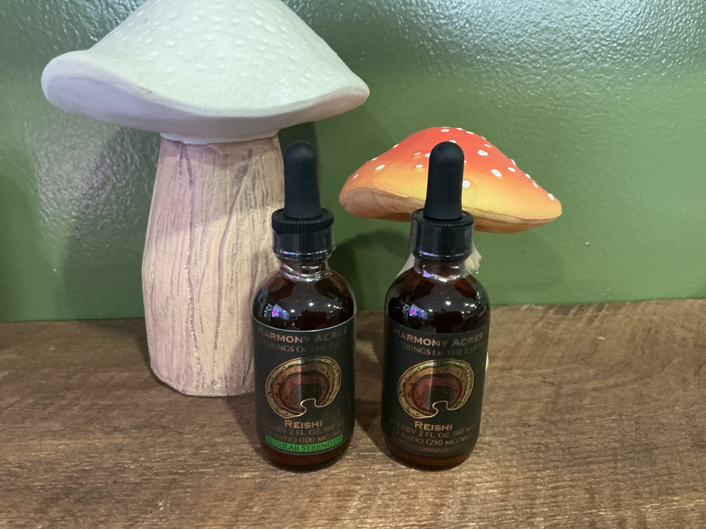 Wild Reishi Tincture 1:4