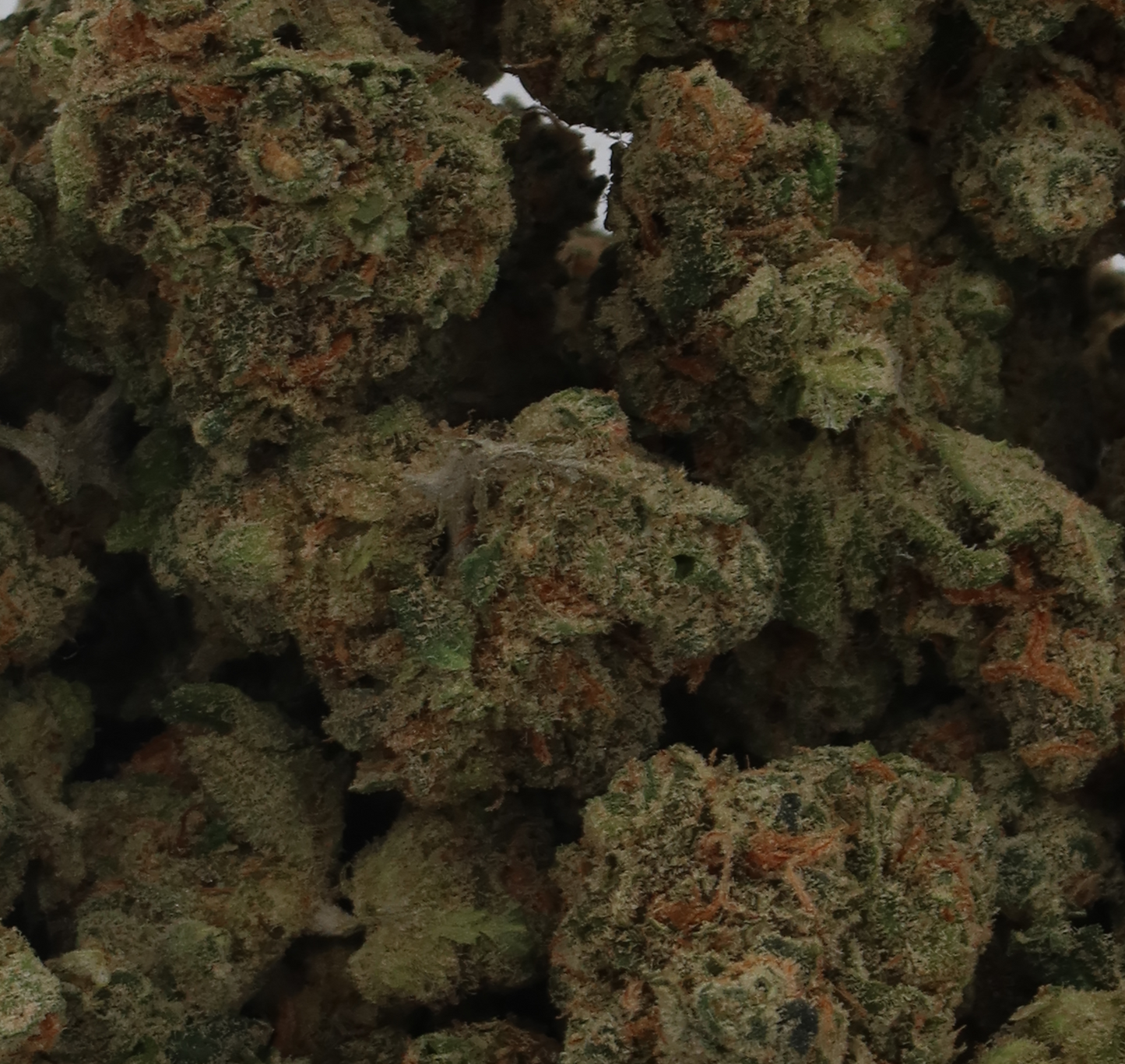 Lemon Cherry Haze