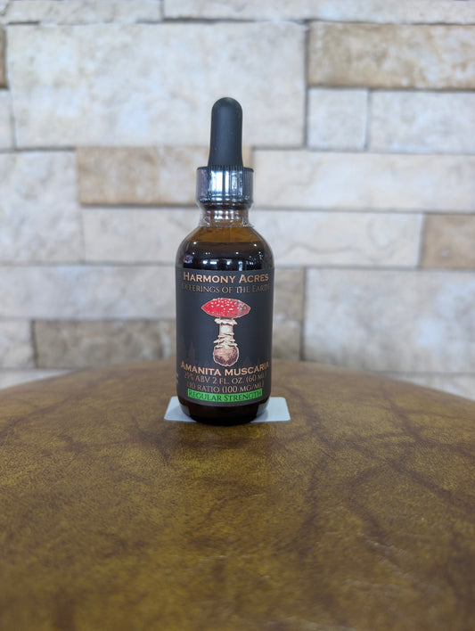 Amanita muscaria 1:10 tincture