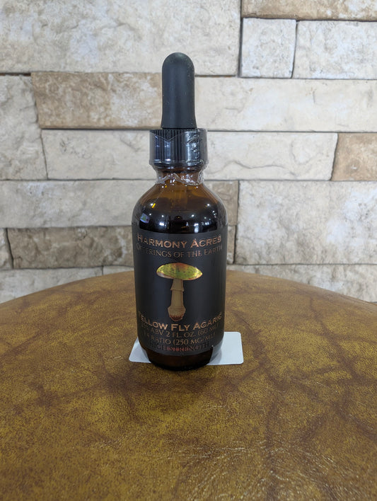 Yellow fly agaric 1:4 tincture