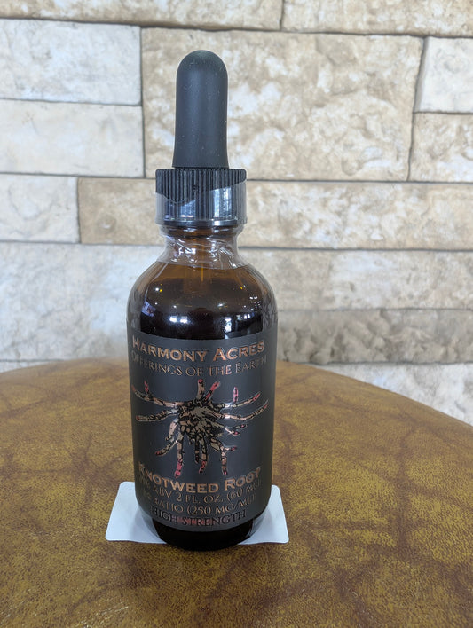 Knotweed 1:4 tincture