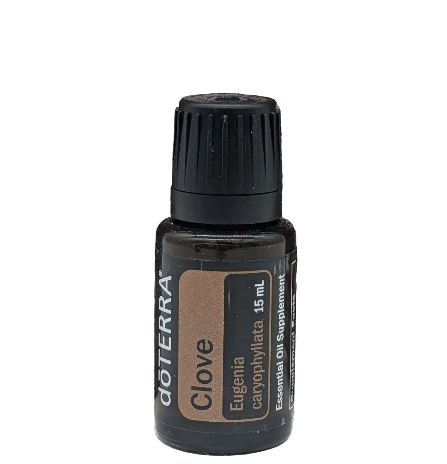 Clove