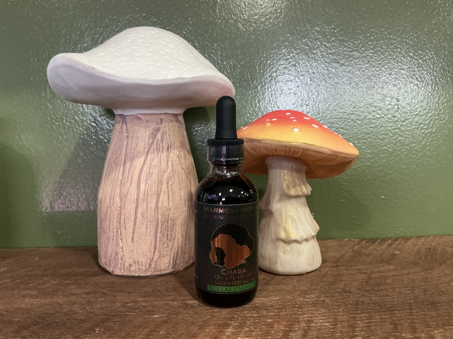 Chaga 1:10 Tincture