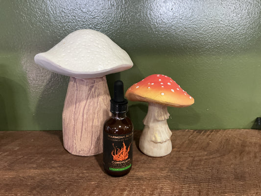 Cordyceps 1:10 Tincture
