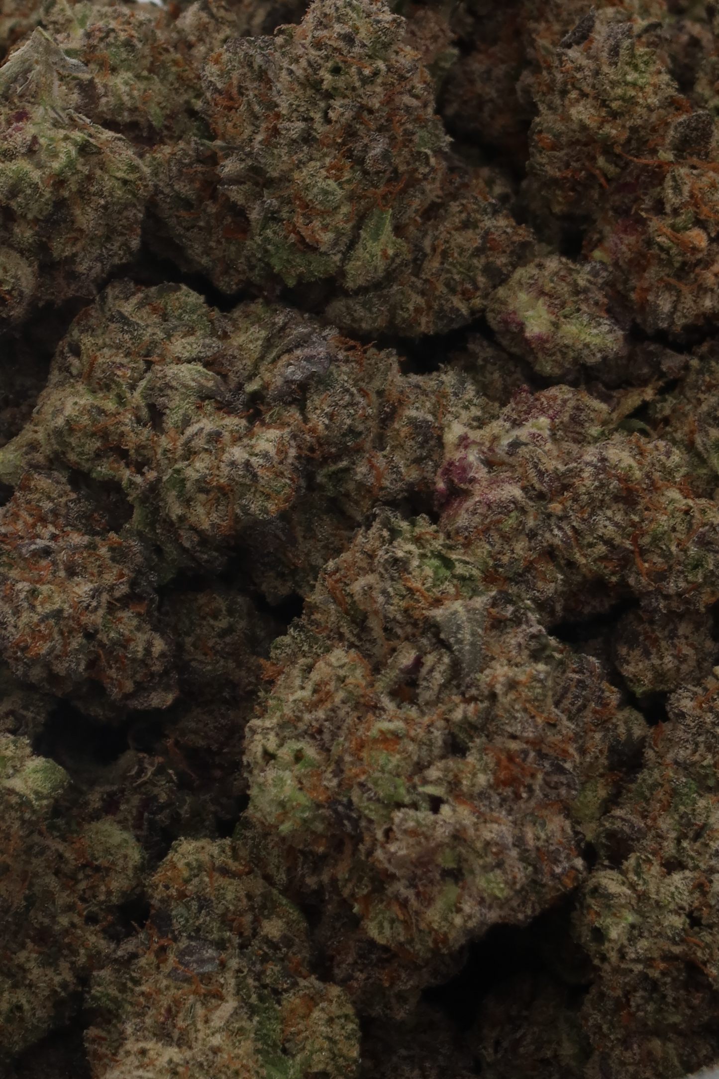 Bam 420