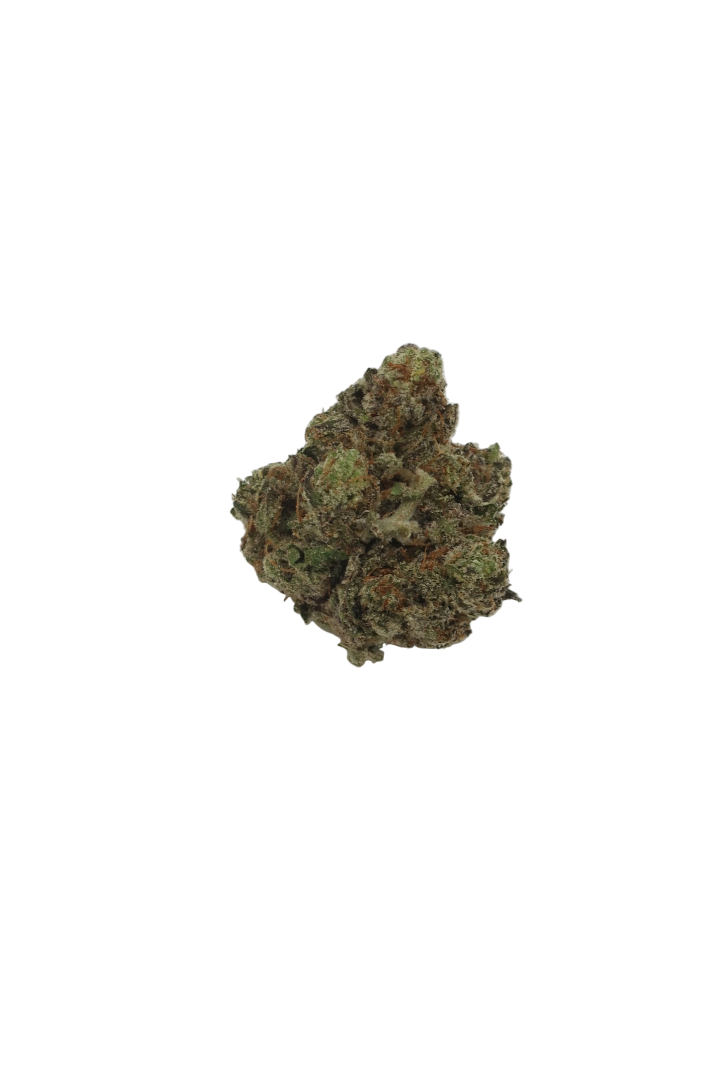 Flo 45