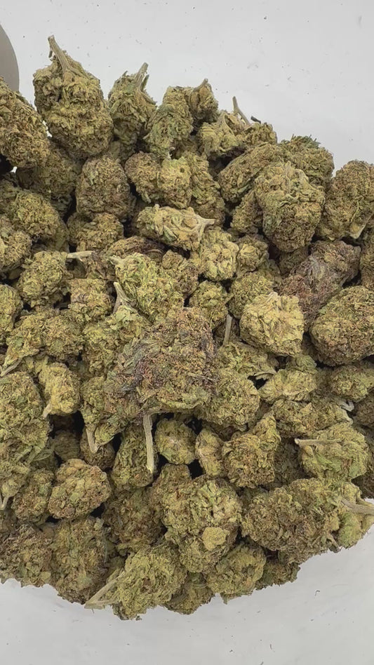 Lemon Cherry Gelato